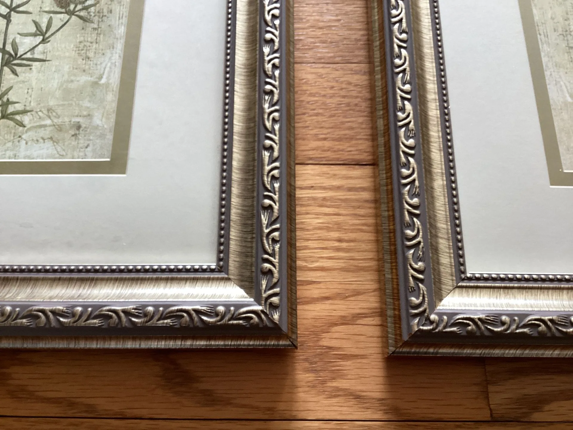 Framed Wall Art Botanical Garden With Glass (Set of 2 ) image indicator(6)