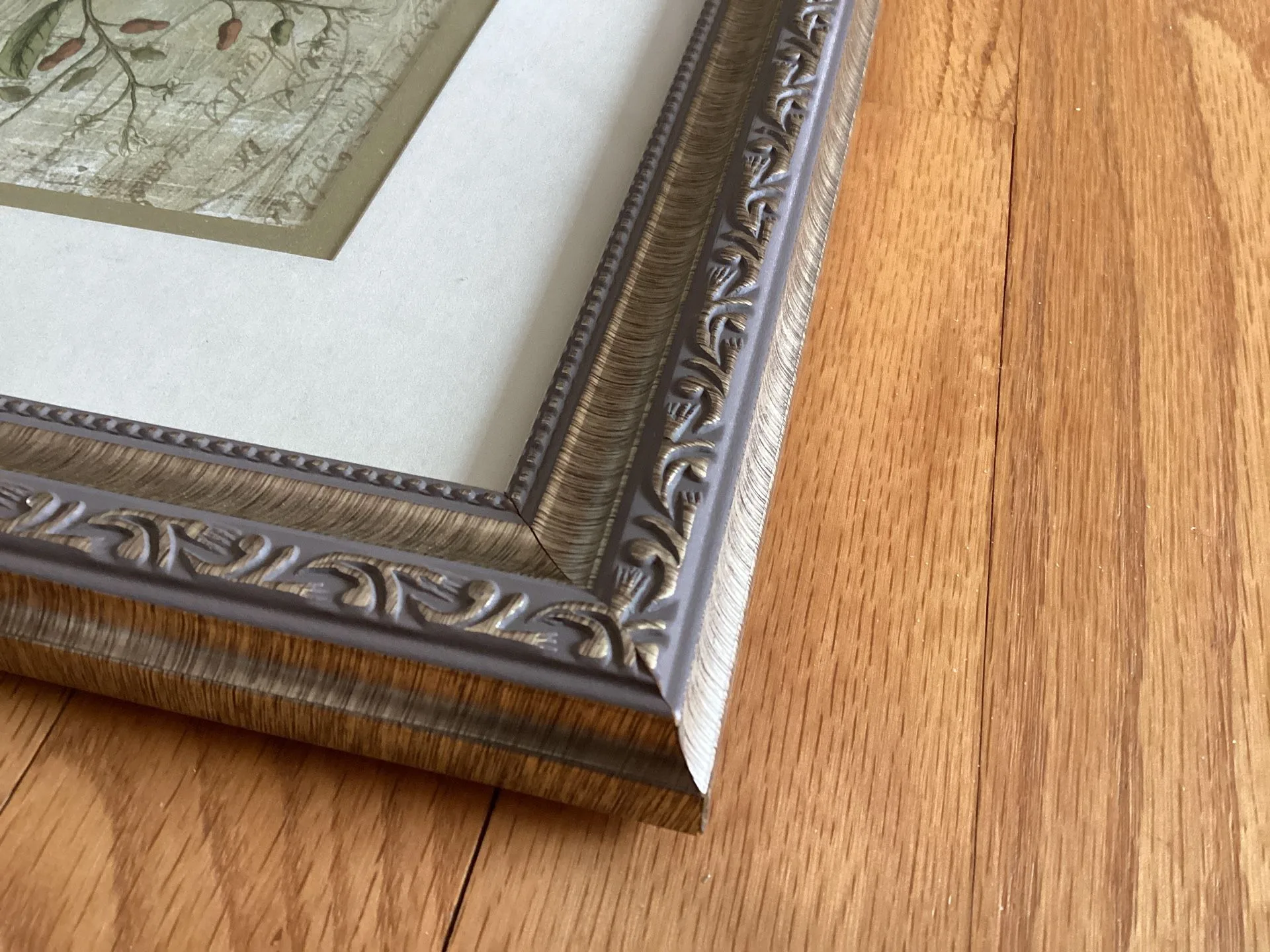 Framed Wall Art Botanical Garden With Glass (Set of 2 ) image indicator(7)