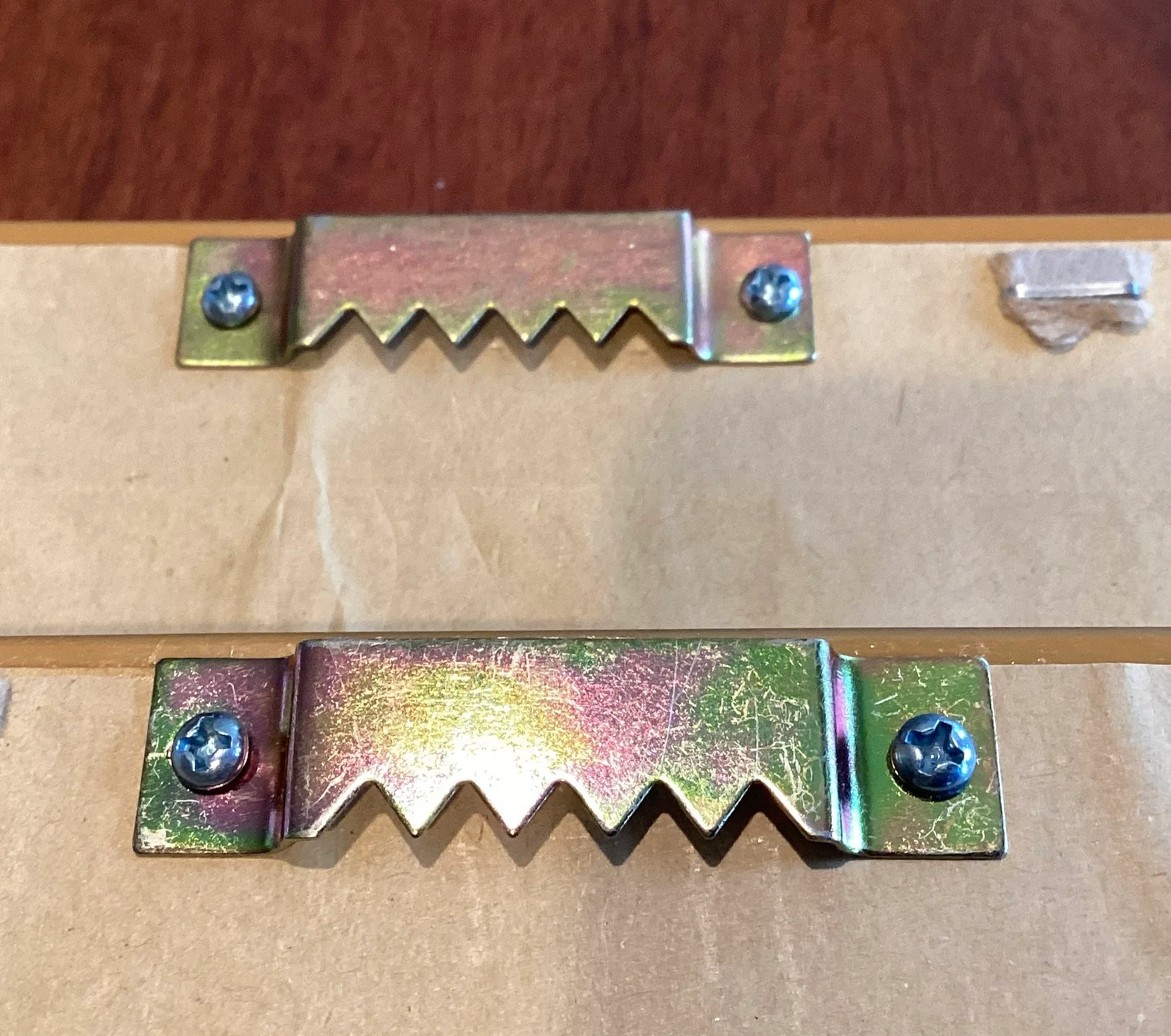 Framed Wall Art Botanical Garden With Glass (Set of 2 ) image indicator(10)