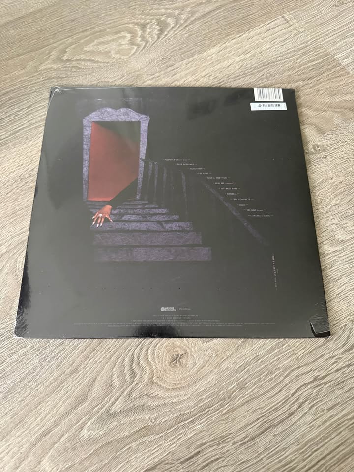 PinkPantheress Heaven knows Vinyl - photo 2