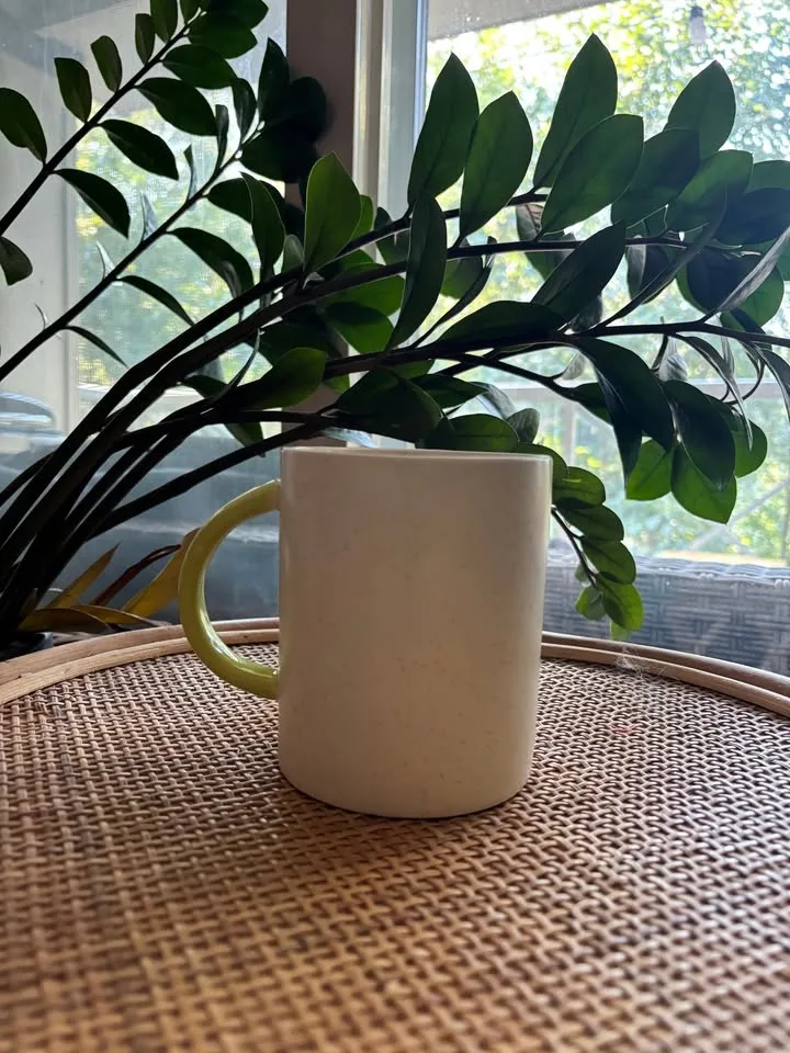 Anthropologie Home Sunburst Mug image indicator(2)