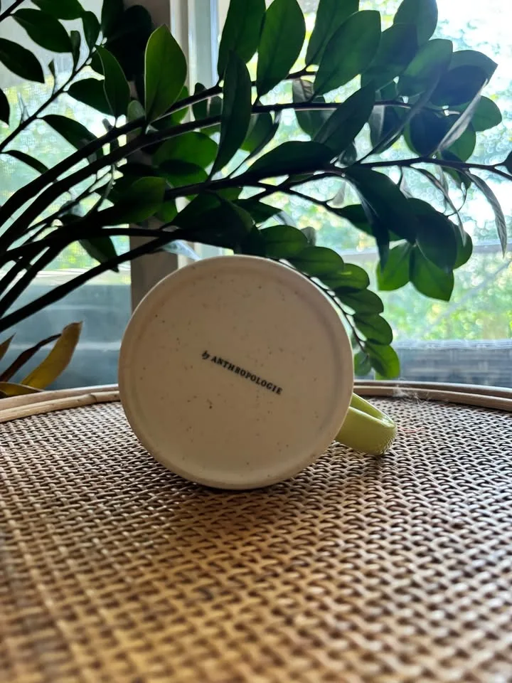 Anthropologie Home Sunburst Mug image indicator(3)