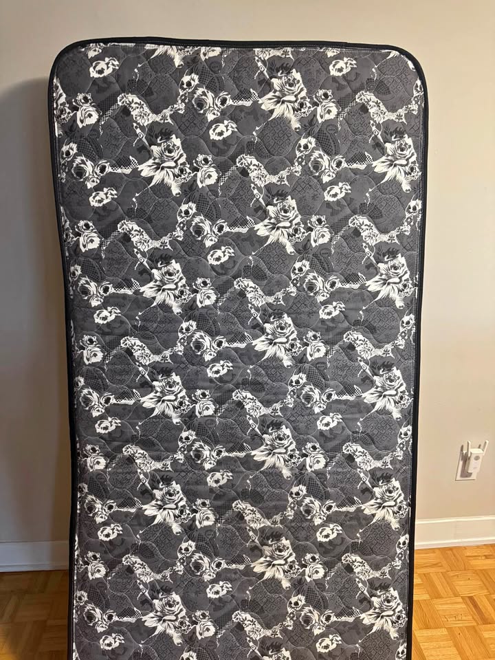 Twin size bed free