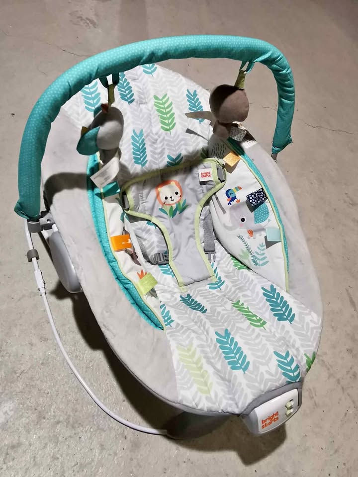 Baby Bouncer/Rocker