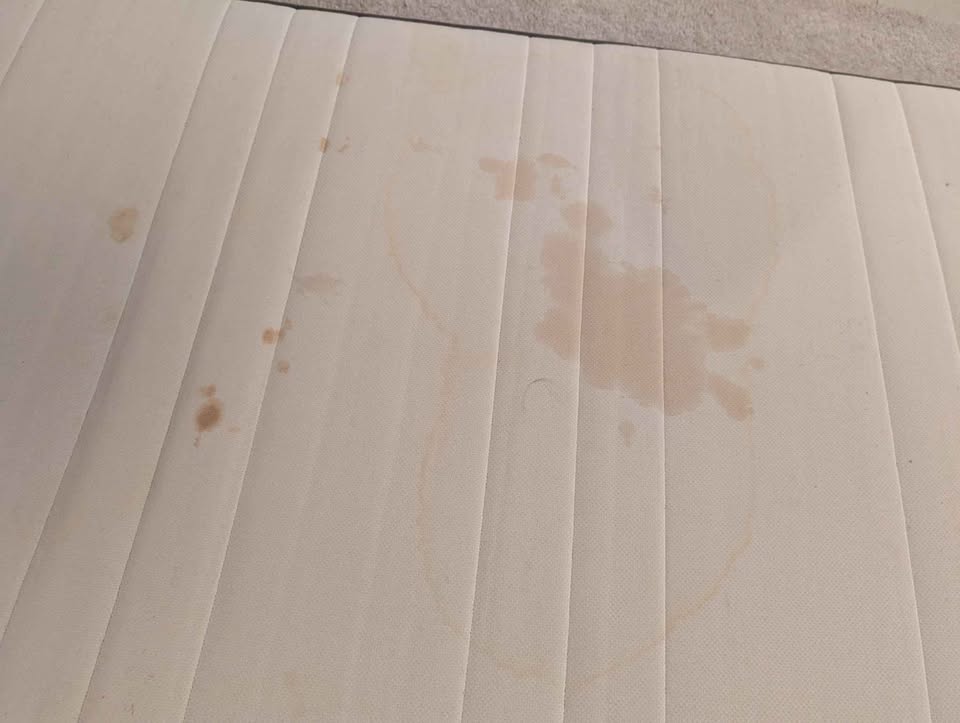 FREE Twin Mattress - photo 3