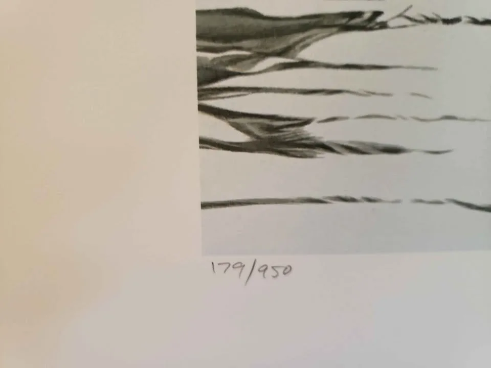 🦆Signed limited edition Ron Parker print "Mallard Family"🦆 image indicator(3)