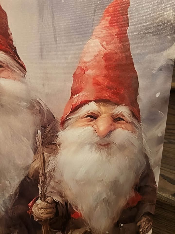 Gnomes Canvas-Ready To Hang Wall Art - photo 5