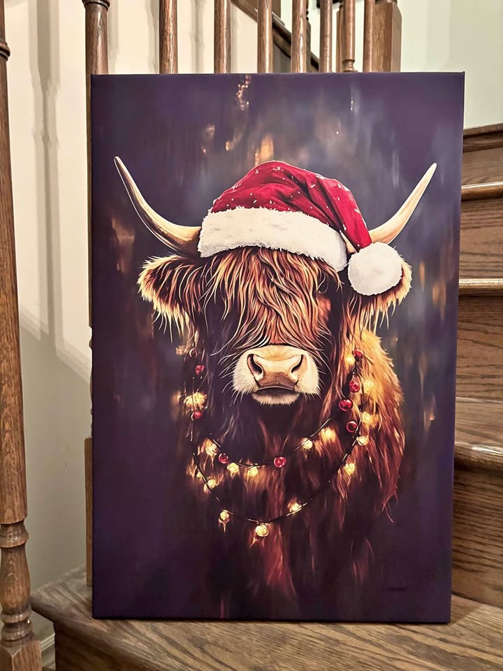 Festive Highland Cow Canvas-Ready To Hang Wall Art