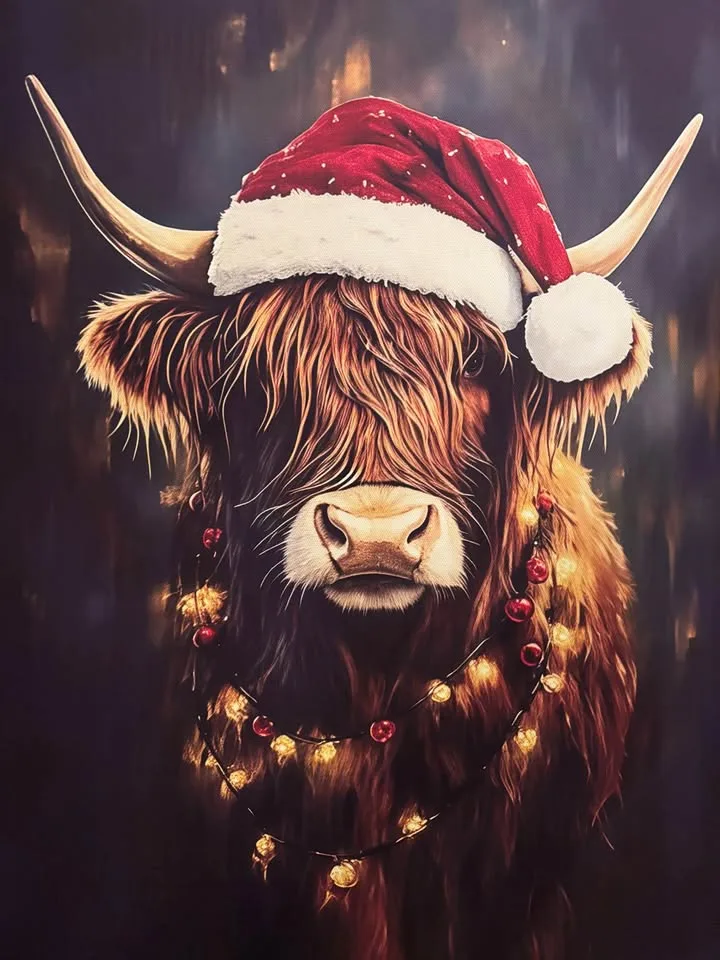 Festive Highland Cow Canvas-Ready To Hang Wall Art image indicator(2)