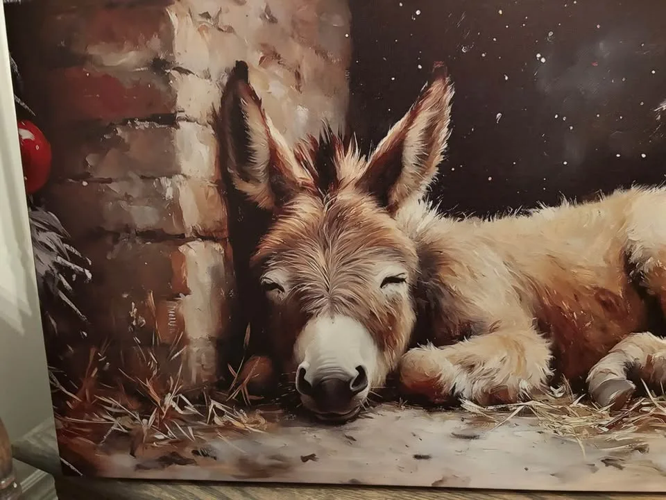 Christmas Nativity Donkey Canvas-Ready To Hang Wall Art image indicator(2)