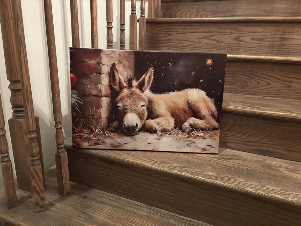 Christmas Nativity Donkey Canvas-Ready To Hang Wall Art image indicator(3)
