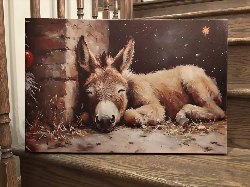 Christmas Nativity Donkey Canvas-Ready To Hang Wall Art image indicator(4)