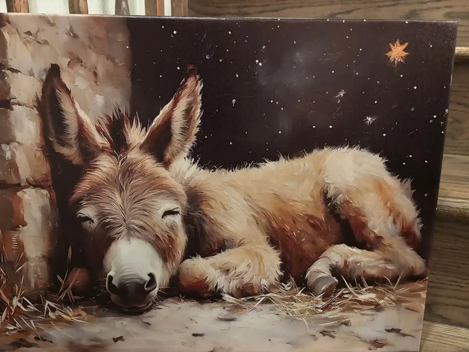 Christmas Nativity Donkey Canvas-Ready To Hang Wall Art image indicator(5)