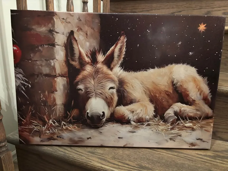 Christmas Nativity Donkey Canvas-Ready To Hang Wall Art image indicator(6)