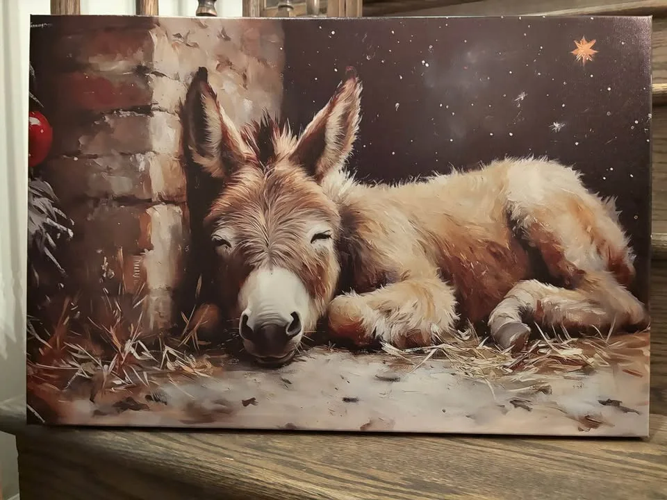 Christmas Nativity Donkey Canvas-Ready To Hang Wall Art image indicator(7)
