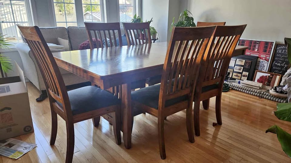 Dinning Table Set (w/ 6 chairs)