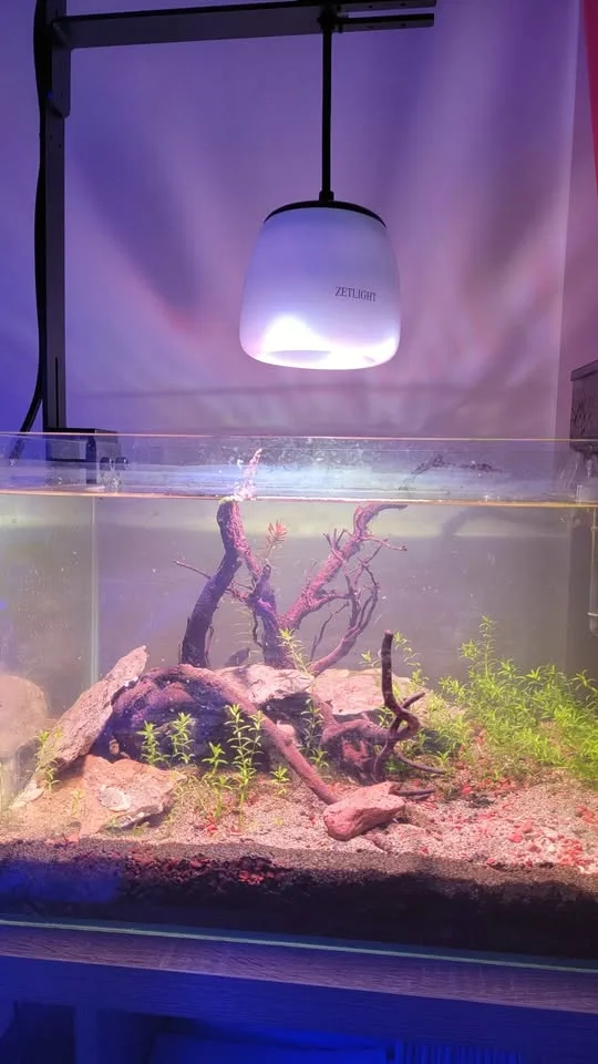 Zetlight O2 Freshwater Planted LED WIFI & mounting kit image indicator(10)