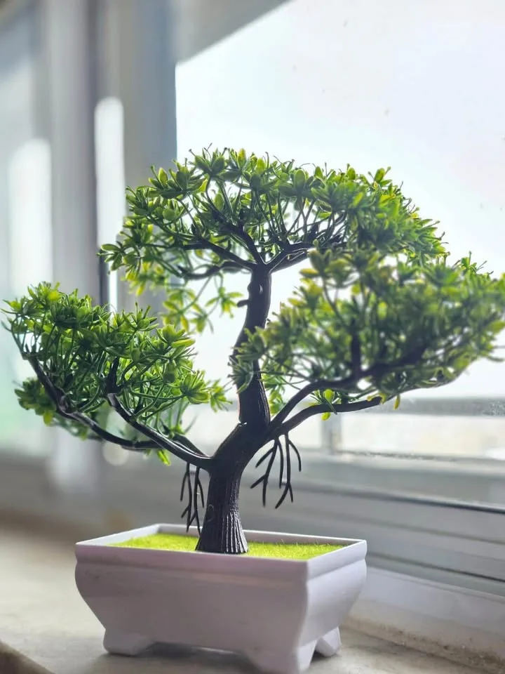 Charming Artificial Bonsai Tree for Sale! 🌿 image indicator(2)