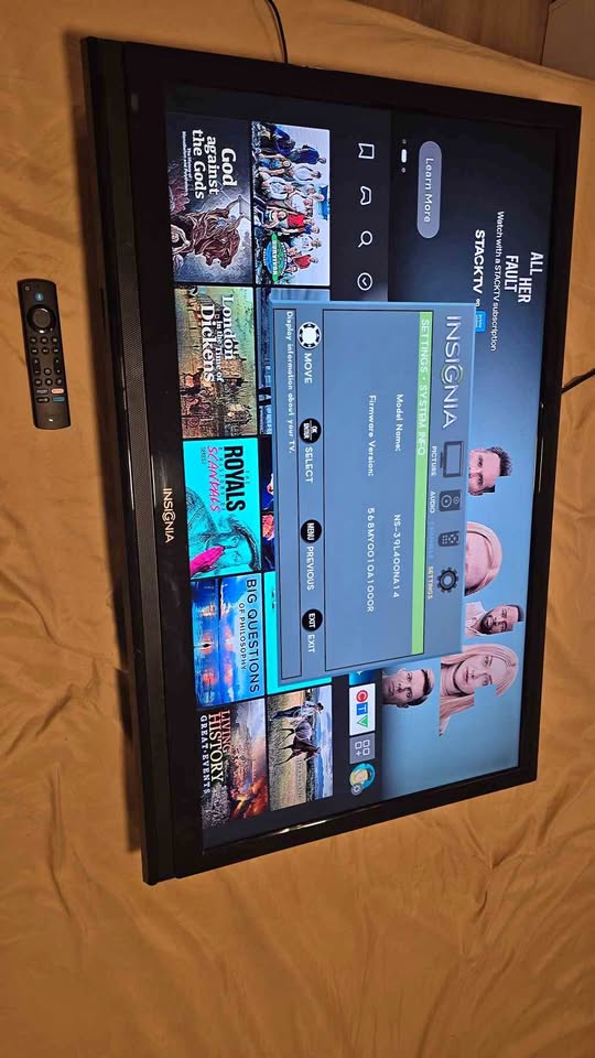 Insignia 39” LCD TV with Wall Mount – Heavy, Works Great