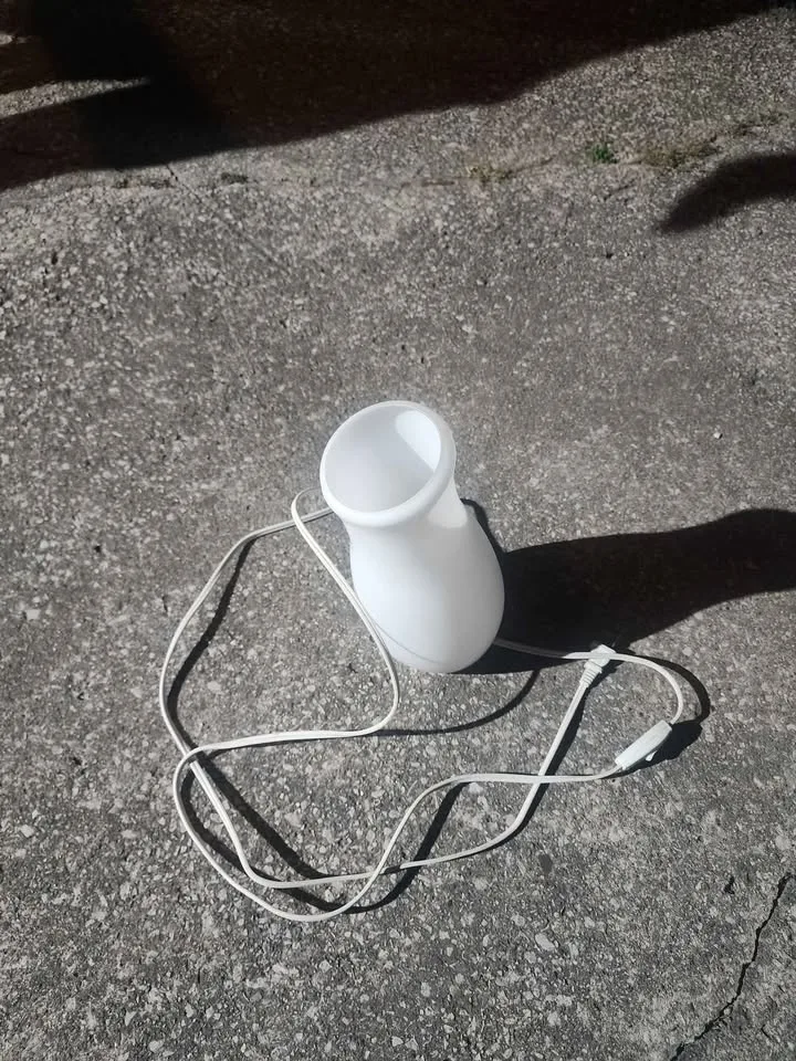 Lamp image indicator(2)