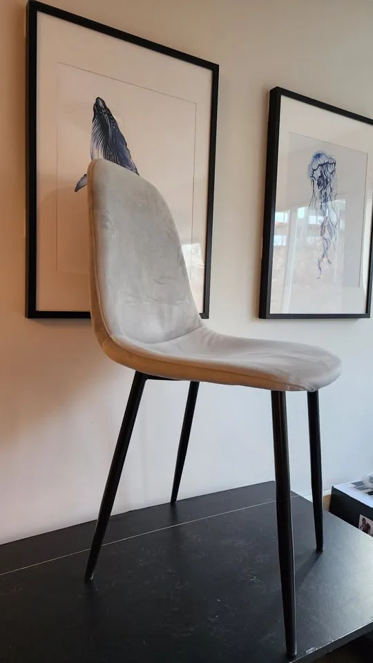 Chair Dining Velvet (Set of 4) image indicator(2)