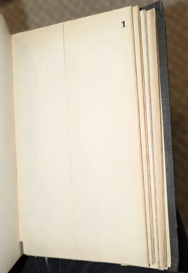 Internal Commerce of USA 81-82, (Antique 1884) Treasury image indicator(7)