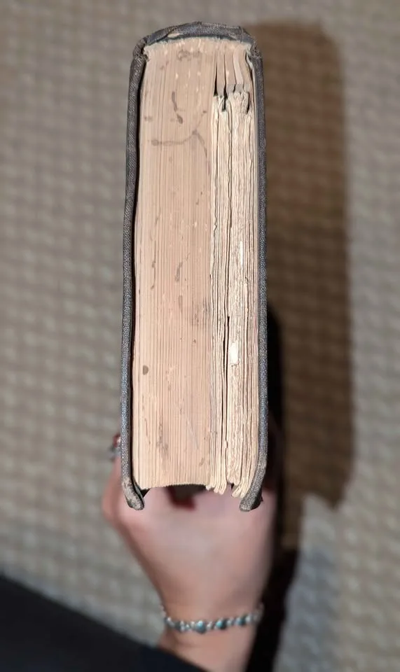 Internal Commerce of USA 81-82, (Antique 1884) Treasury image indicator(10)