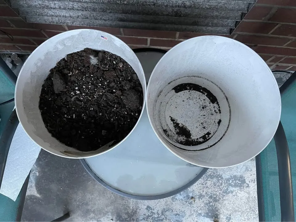 Set of 2 White Planters – 10” Glossy Finish image indicator(2)