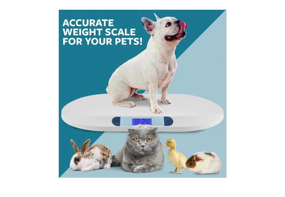 Smart Weigh Comfort Baby Scale image indicator(5)