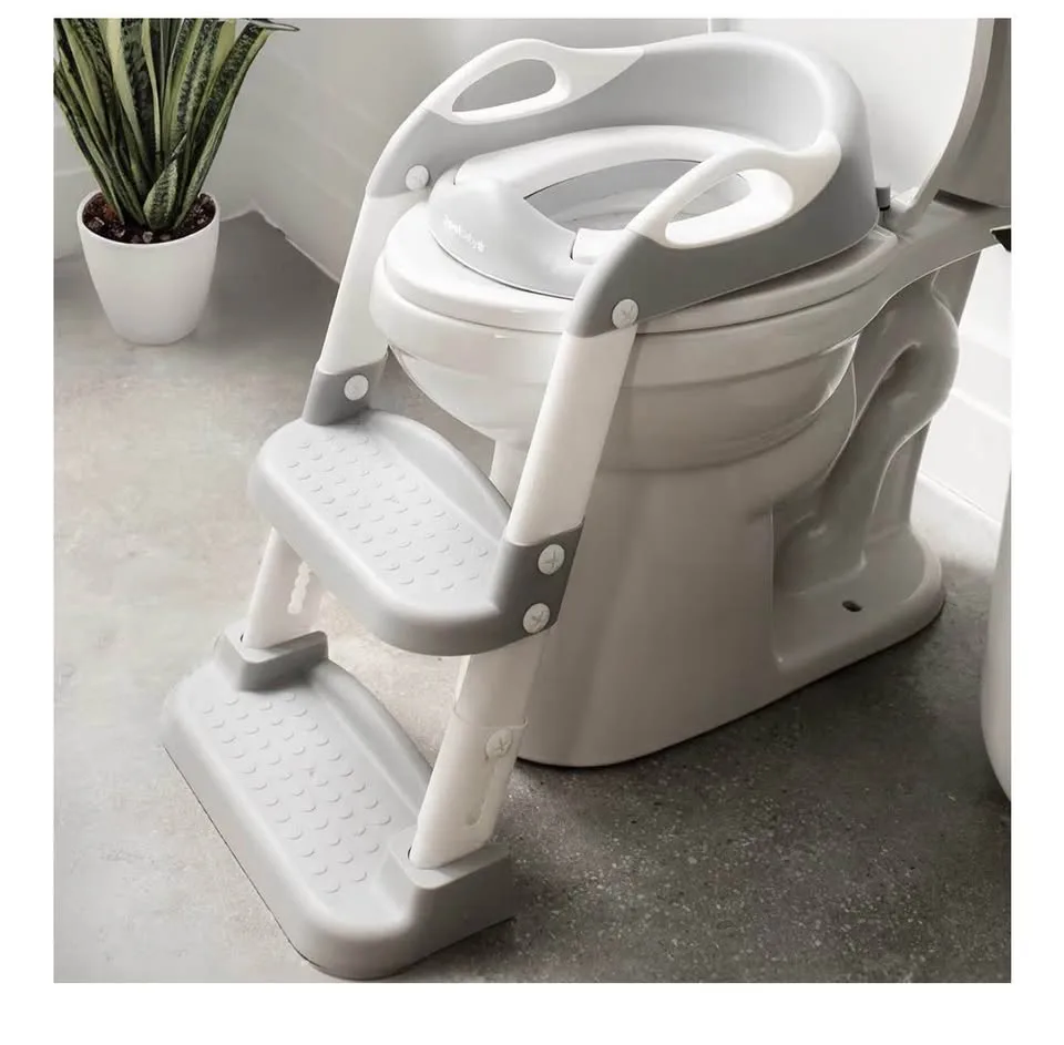 Potty Training Ladder