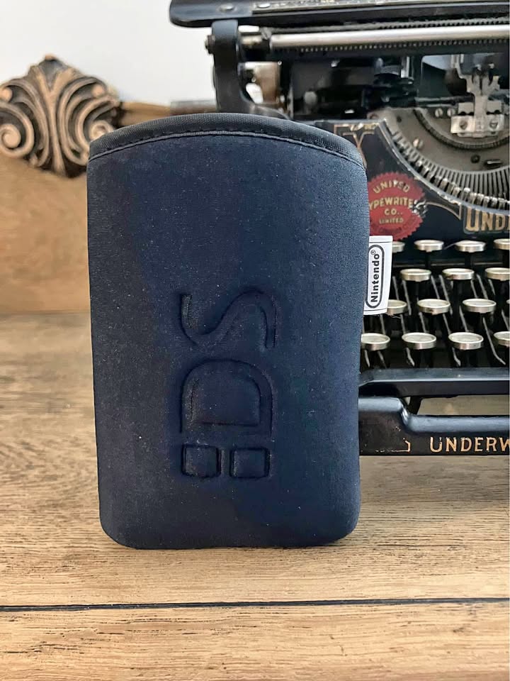 Nintendo DS Pouch