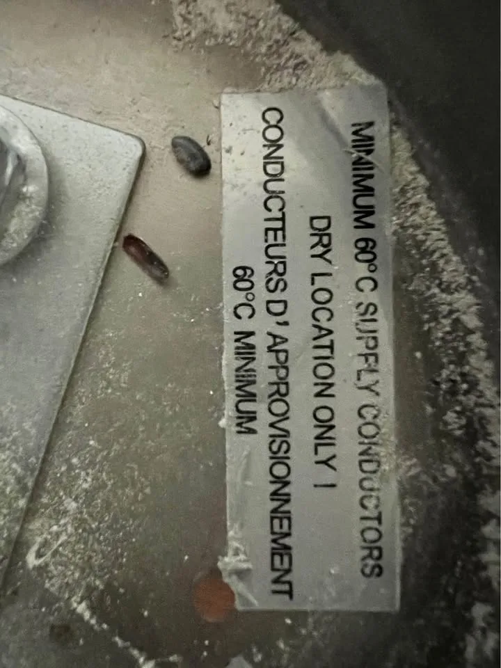 Indoor Track Lighting image indicator(6)