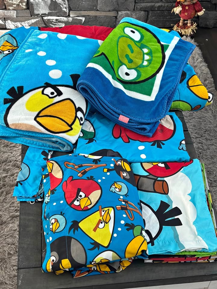 Angry Birds twin bedding/bedroom set