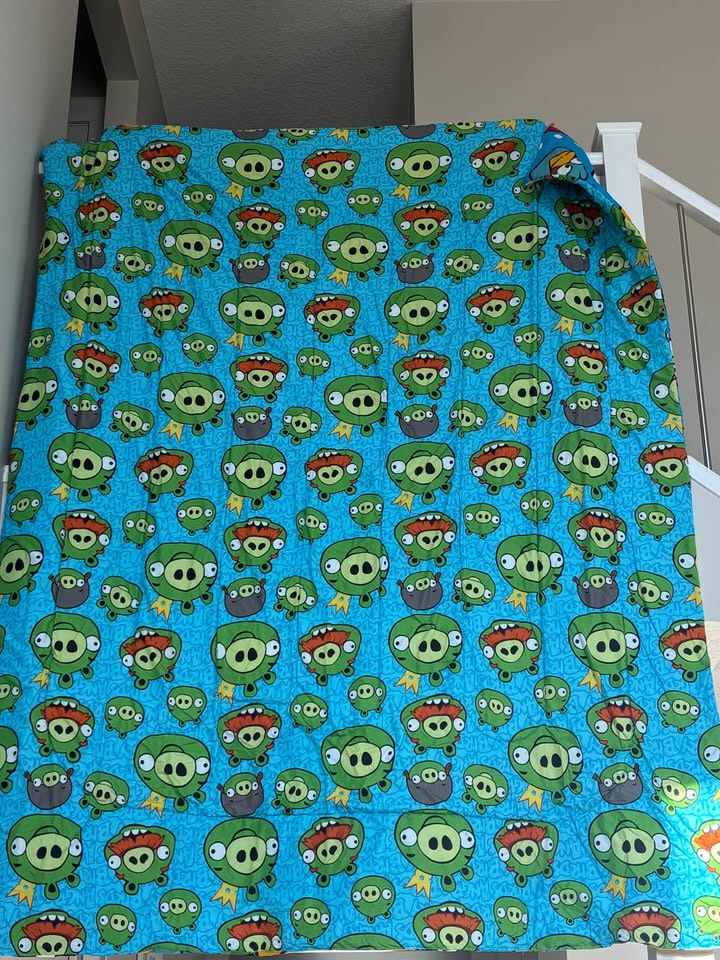 Angry Birds twin bedding/bedroom set - photo 3