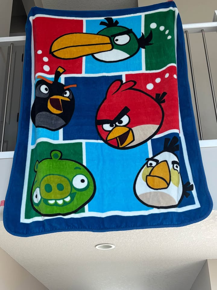 Angry Birds twin bedding/bedroom set - photo 5