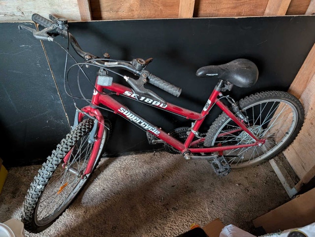 3 bicycle - photo 2
