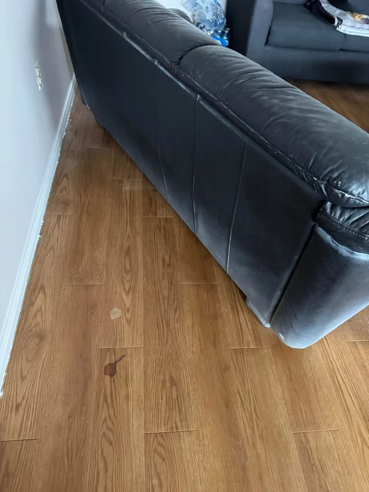 Sofa- Couch image indicator(2)