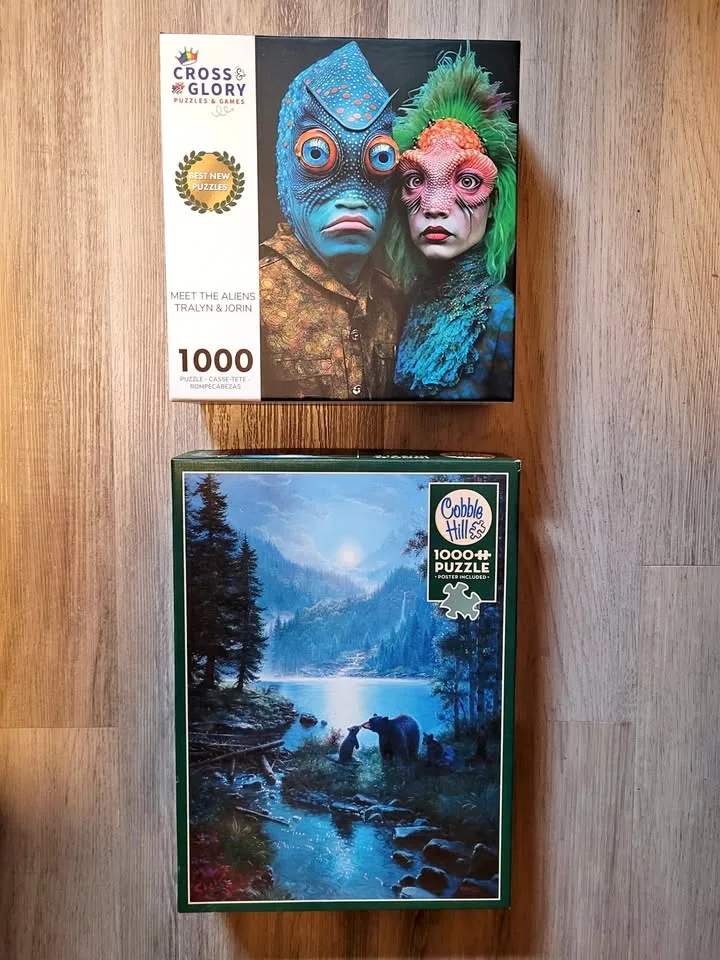 Two 1000-Piece Puzzles