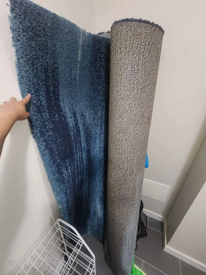 2 IKEA RUGs - 170x240 cm (blue) image indicator(2)