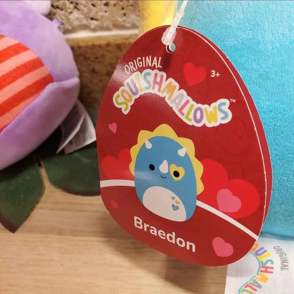 BNWT 5" Squishmallows - $8 image indicator(7)