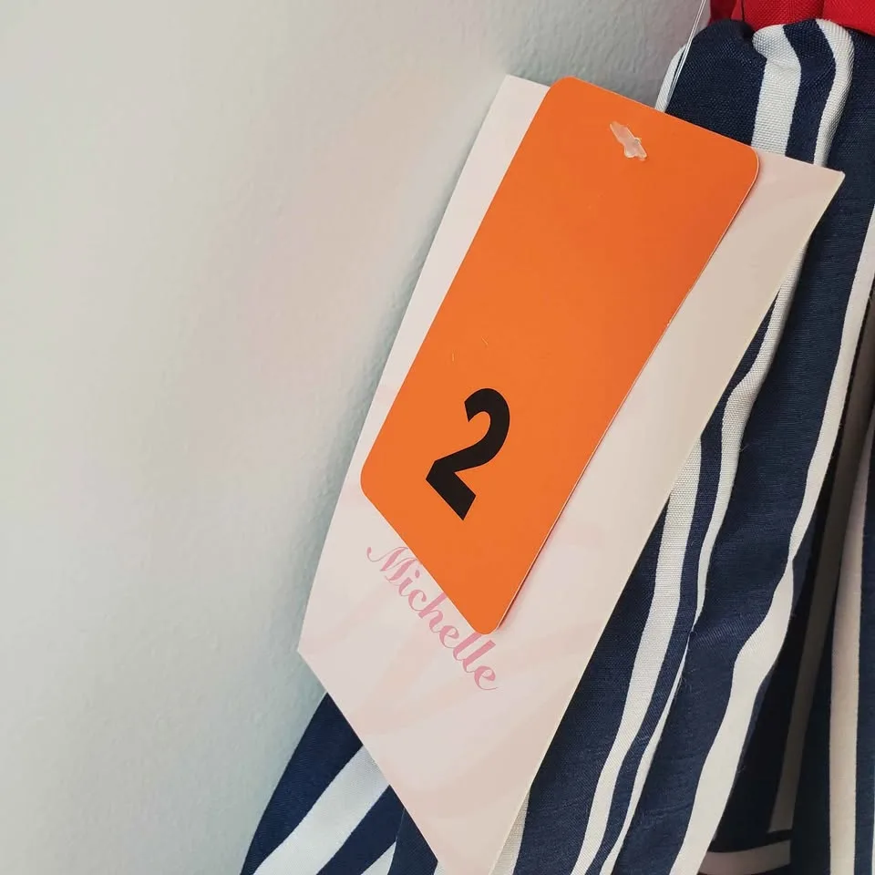 BNWT Toddler Jona Michelle Formal Dress - 2 yrs image indicator(3)