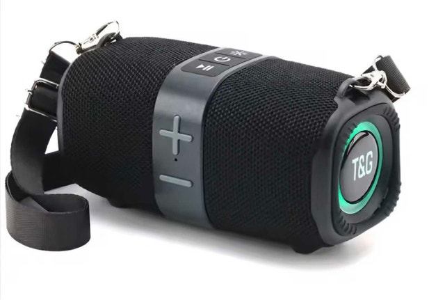 T&G TG667 Speaker - photo 3