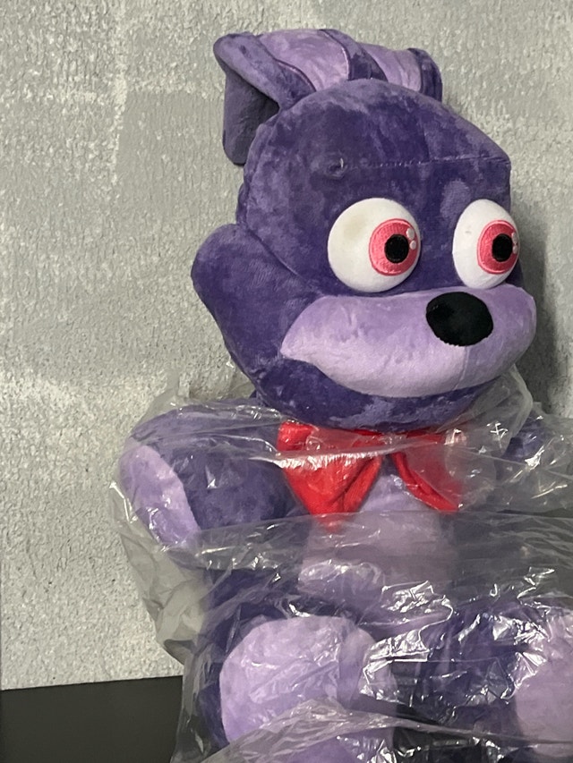 Bonnie the Bunny Plush - photo 3