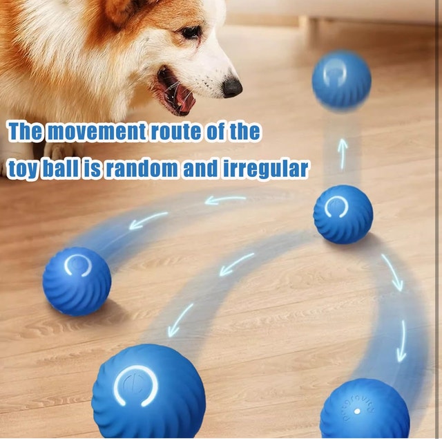 Pet Gravity Bouncing Ball - photo 2