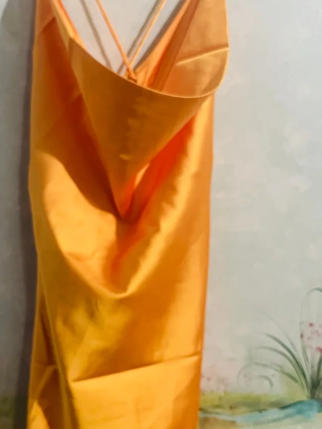 MISHA MAXI DRESS - TANGERINE! Size XXL image indicator(4)