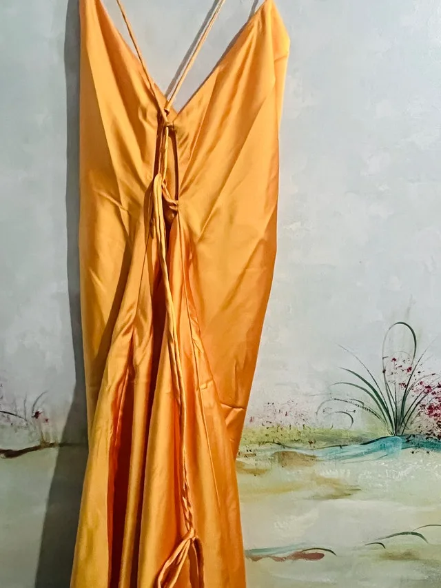 MISHA MAXI DRESS - TANGERINE! Size XXL image indicator(5)