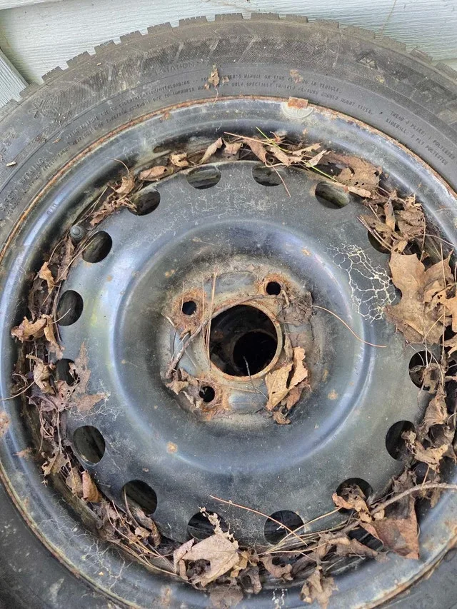 195/65/R15 SNOW TIRES with rims! image indicator(2)