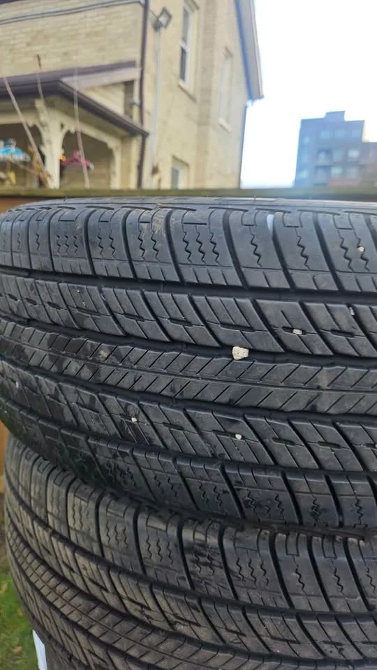 205/55/16 uniroyal tiger paws as image indicator(4)