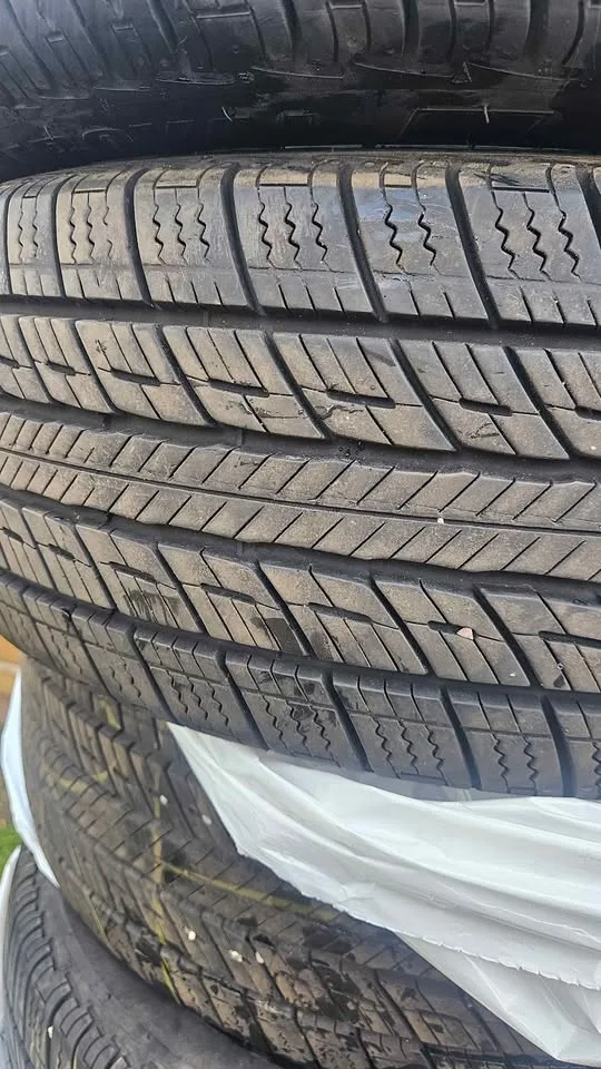 205/55/16 uniroyal tiger paws as image indicator(5)