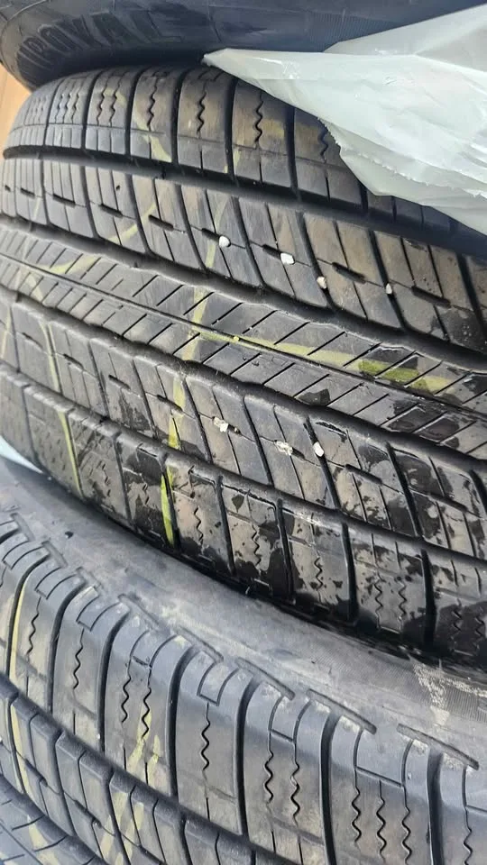 205/55/16 uniroyal tiger paws as image indicator(7)